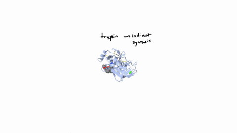 the-enzyme-trypsin-is-synthesized-by-the-body-in-the-form-of-a-long-polypeptide-chain-containing-235-53881