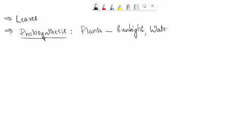 what-is-the-process-that-leaves-do-that-uses-light-to-make-food-for-the-plant-98594