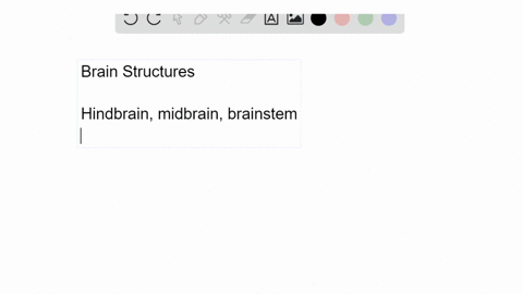 the-lower-brain-structure-that-governs-arousal-is-the