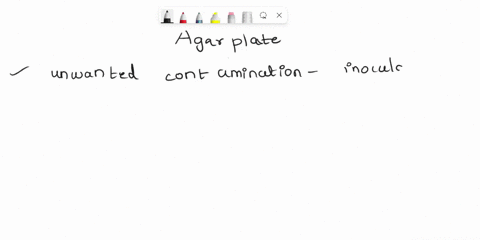 streak-plate-isolation-for-obtaining-pure-cultures-data-interpretation-please-type-the-answers-to-the-following-questions-below-double-spaced-and-attach-the-data-collection-sheets-when-you-h-05224