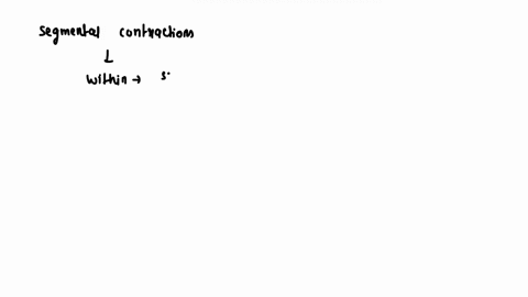 question-13-02-points-saved-segmental-contractions-within-the-small-intestine-refers-to-the-propulsion-of-material-between-the-segments-of-the-gi-tract-division-of-function-between-the-diffe-58654