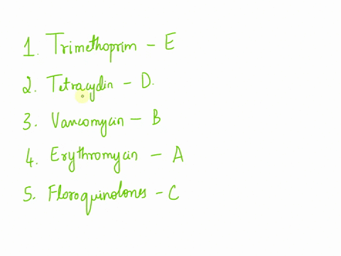 match-the-antimicrobial-agent-to-its-mode-of-action-a-b-c-d-e-trimethoprim-a-b-c-d-e-tetracycline-a-b-c-d-e-vancomycin-a-b-c-d-e-erythromycin-a-b-c-d-e-fluoroquinolones-match-the-antimicrobi-72434