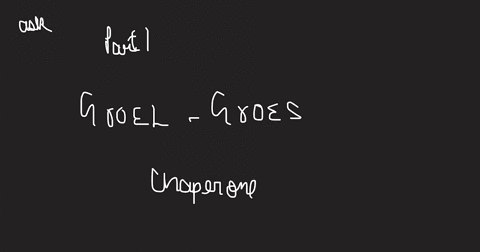 what-type-of-chaperone-is-groel-groes-choose-one-a-chamber-type-b-disulfide-isomerase-heat-shock-protein-d-clamp-type-part-3-03-point-see-ifasemi-conservative-mutation-occurred-in-the-groel-92668