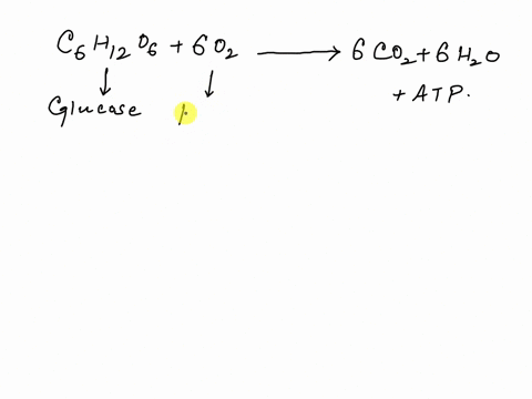 explain-what-is-happening-in-the-chemical-reaction-as-depicted-by-this-chemical-reaction-c-6-h-12-o-2-6-o-2-6-c-o-2-6-h-2-o-atp-91205