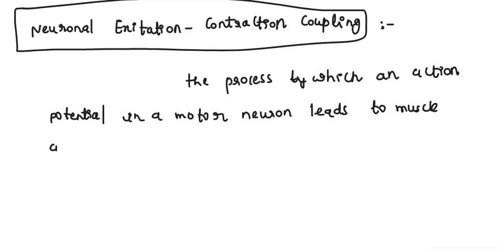 SOLVED describe excitation contraction coupling and how calcium is