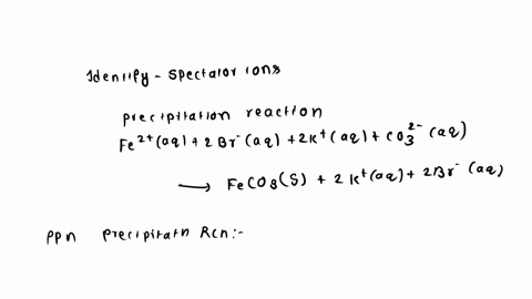 identify-all-of-the-spectator-ions-in-the-precipitation-reaction-below-fe2aq-2-br-aq-2-k-aq-co32-aq-feco3-s-2-k-aq-2-br-aq-09842