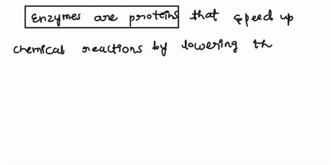 enzymes-are-proteins-that-speed-up-reactions-by-06712