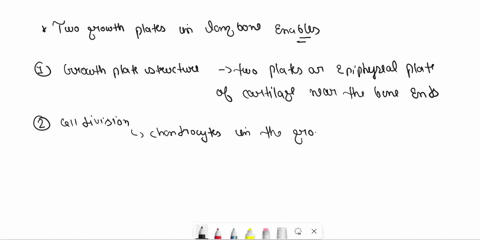 explain-how-the-two-growth-plates-in-a-long-bone-account-for-the-ability-of-a-long-bone-to-lengthen-68681