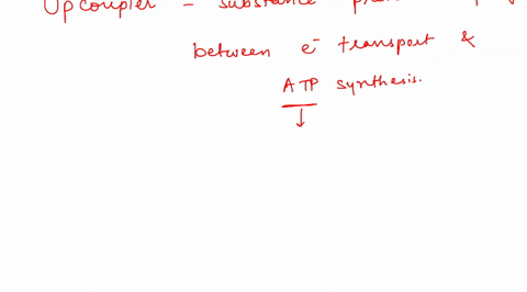 bizbirgemiz-lte-1037-100-chapter-19-homework-xls-20-j4-uncoupling-of-mitochondrial-oxidative-phosphorylation-allows-continued-mitochondrial-atp-formation-but-halts-0-2-consumption-halts-all-75031