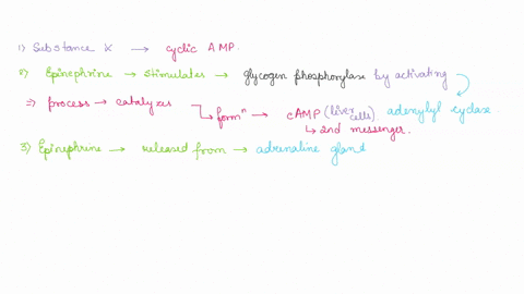 the-mechanism-of-action-of-the-hormone-epinephrine-aka-adrenaline-was-worked-out-in-the-950s-with-pioneering-set-of-experiments-remember-that-hormones-like-epinephrine_-are-used-as-endocrine-22493