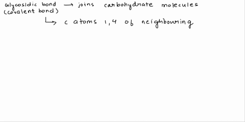 1-what-is-a-glycosidic-bond-and-what-is-a-peptide-bond-20821