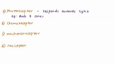 what-type-of-receptor-cell-is-involved-in-the-sensations-of-sound-and-balance-a-photoreceptor-b-chem-12458