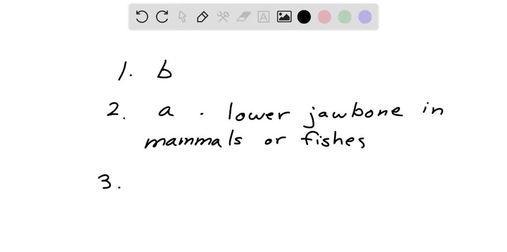 SOLVED Choose the correct answer 1. Excretory structures found in many