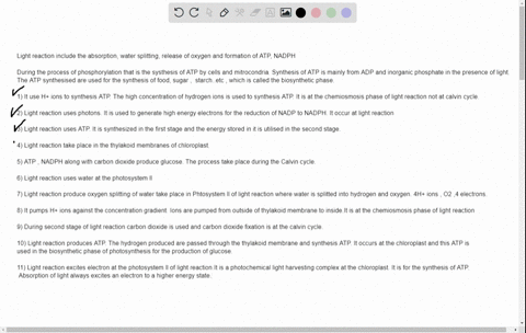 light-reaction-calvin-cycle-light-reactions-and-calvin-cycle-uses-hydrogen-ions-h-diffusing-down-their-concentration-gradient-to-produce-atp-uses-photons-uses-atp-occurs-in-the-chloroplast-p-34774