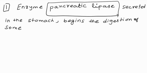 before-exploring-the-steps-involved-in-fat-digestion-absorption-and-transport-you-must-first-be-able-to-use-the-vocabulary-effectively-in-this-activity-match-the-correct-term-with-the-senten-35416