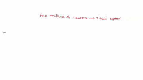 hubel-and-wiesel-recorded-from-just-a-few-of-the-millions-of-neurons-that-make-up-the-visual-system-what-might-they-be-missing-by-reducing-visual-perception-down-to-the-function-of-a-single-64112