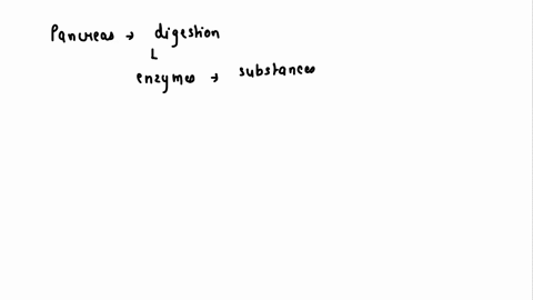 explain-the-role-of-the-pancreas-in-digestion-include-the-digestive-enzymessubstances-made-in-the-pancreas-where-they-are-released-into-the-gi-tract-and-their-function-45218