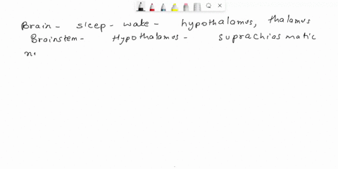describe-the-action-of-some-of-the-brain-areas-known-to-be-involved-in-the-regulation-of-sleep-wakefulness-25432