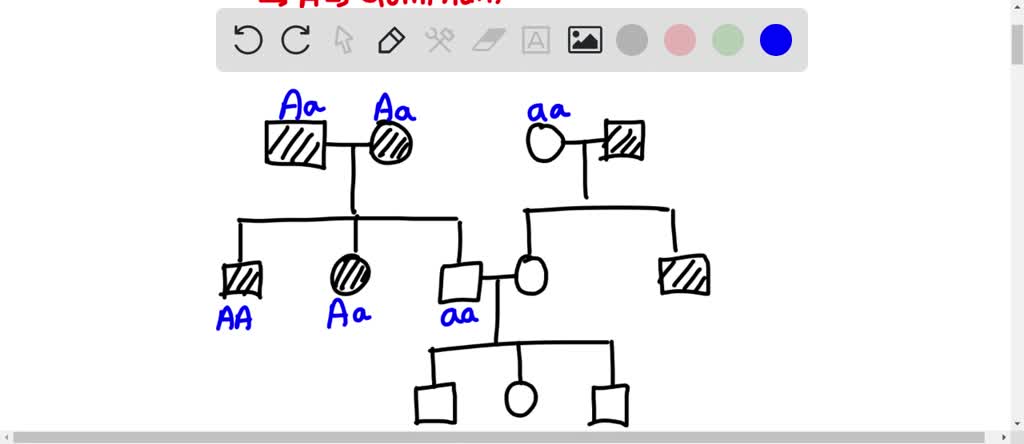 SOLVED: The image below shows the pedigree and the transmission of a ...
