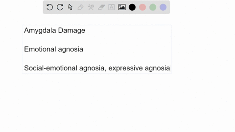 when-the-amygdala-is-damaged-it-causes-humans-to-have-an-inability-to-recognize-fear-in-expression-and-voice-this-is-also-known-blank-1-note-this-is-a-two-word-response-blank-add-your-answer-29686
