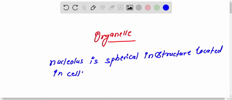 which-organelle-makes-ribosomesits-a-dense-area-of-dna-inside-of-the-nucleus-59156