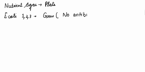 lab-exercise-5-relationship-baclerial-gcnolypes-phsnonpe-dna-genctic-information-found-hiving-cells_-the-maleculc-the-infonnation-for-making-information-canticd-crolein-dva-specific-proteins-27903