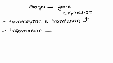 what-are-the-stages-in-gene-expression-29162