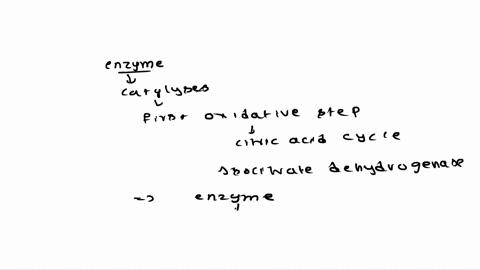 name-the-enzyme-that-catalyzes-the-first-oxidative-step-of-the-citric-acid-cycle-19799