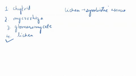a-____-helps-to-break-down-rocks-and-form-soil-a-chytrid-c-mycorrhiza-b-glomeromycete-d-lichen-48113