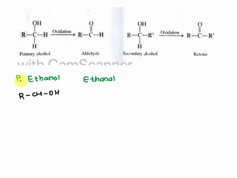 2-aldehydes-and-ketones-can-be-produced-by-the-oxidation-of-primary-and-secondary-alcohols_-respectively-using-mild-oxidizing-agents-such-as-kmno-or-kcio-name-the-producf-of-the-oxidation-of-91884