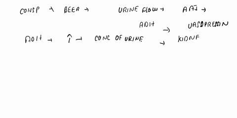 1-to-relax-after-an-anatomy-and-physiology-examination-mr-x-goes-to-a-local-bistro-and-drinks-2-quarts-of-low-sodium-non-alcoholic-beer-what-effect-does-this-have-on-urine-concentration-and-04012