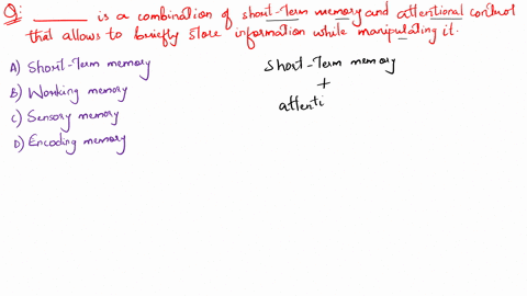question-3-1-pts-is-a-combination-of-short-term-memory-and-attentional-control-that-allows-you-to-briefly-store-information-while-you-are-manipulating-it-short-term-memory-working-memory-sen-83325