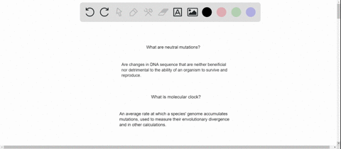 why-are-neutral-mutations-useful-for-molecular-clocks