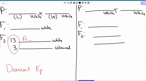when-the-white-leghorn-breed-of-chickens-crossed-to-the-white-wyandotte-breed-all-the-f1-birds-have-white-feathers_-the-f2-birds-appear-in-the-ratio-13-white-colored-when-the-white-leghorn-b-56447