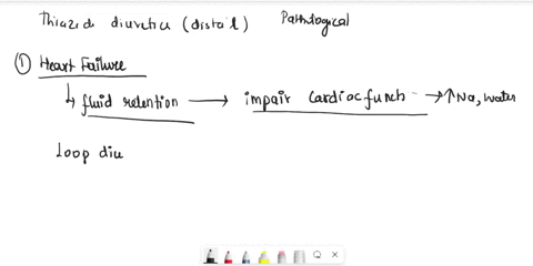 there-are-different-classes-of-diuretics-classified-according-to-what-renal-tubule-system-they-affect-loop-diuretics-block-the-reabsorption-of-salt-in-the-ascending-limb-of-the-loop-of-henle-84675