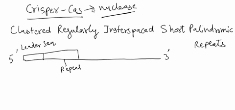 what-are-the-advantages-of-crispr-cas-over-traditional-methods-for-creating-knockout-or-transgenic-animals-select-all-that-apply-it-requires-specialized-skill-sets-such-as-microinjection-int-95176