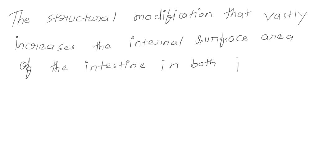 solved-which-structural-modification-vastly-increase-the-internal