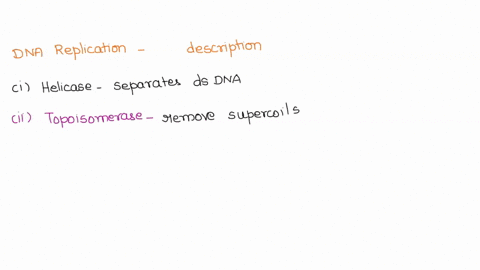 match-each-component-of-dna-replication-with-its-best-description-helicase-choose-choose-separates-the-double-stranded-dna-primase-that-iays-down-short-primer-synthesized-discontinuously-awa-33097