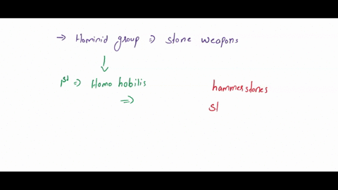 after-learning-about-hominid-tools-this-week-and-reading-the-story-in-the-stones-reflect-here-on-stone-tool-use-tool-making-and-their-implications-for-understanding-hominin-history-respond-t-68076