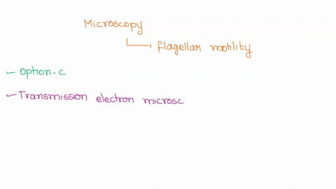which-type-of-microscopy-is-best-for-viewing-flagellar-motility-in-most-microbes-select-one-scanning-electron-b-bright-field-transmission-electron-fluorescence-phase-78377