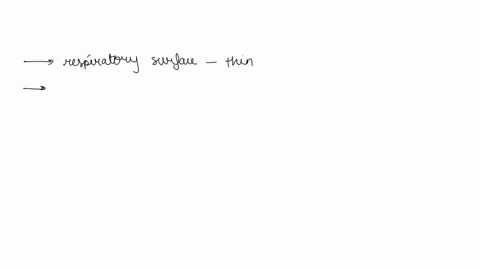 which-of-the-following-features-would-make-a-respiratory-surface-more-efficient-at-gas-exchange-select-all-that-apply-smooth-surface-respiratory-surface-is-thin-contains-several-different-ty-99053