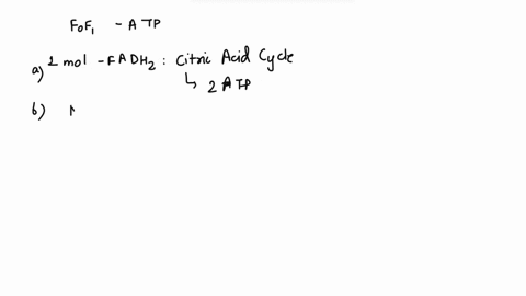 he-fof1-synthesis-of-atp-depends-on-delivery-of-electrons-carried-by-nadh-and-fadh2-to-electron-transport-systems-in-the-inner-mitochondrial-membrane-in-eukaryotic-cells-what-is-the-maximum-96525
