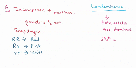 12-pts-question-4-the-genetic-phenomenon-of-incomplete-dominance-to-acompare-codominance-then-give-an-example-of-each-4-points-what-possibilities-exist-that-could-make-one-allele-recessive-t-14305