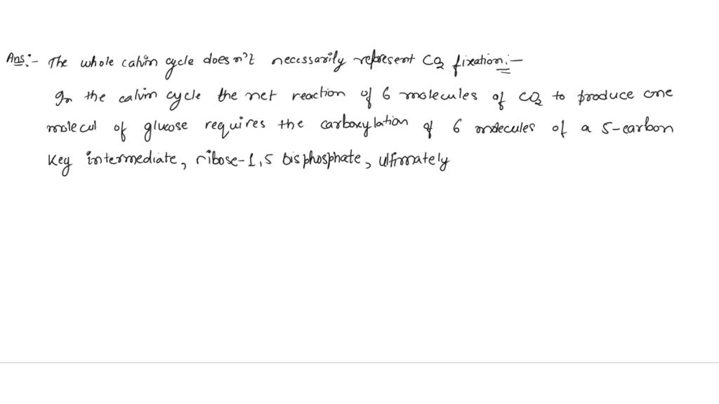 solved-does-the-whole-calvin-cycle-represent-carbon-dioxide-fixation