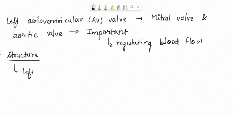 part-cassessments-complete-the-following-1-compare-the-structure-of-the-left-atrioventricular-valve-with-that-of-the-aortic-valve-a4-2-describe-the-functions-of-the-chordae-tendineae-and-the-01558