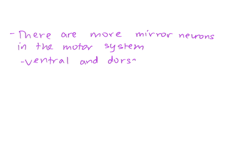 read-httppsychcoloradoedukimlabrizzolattiannurevneuro2004pdfdiscuss-what-the-mirror-neurons-system-is-using-the-article-as-a-primary-source-are-there-certain-parts-of-the-brain-that-have-a-h-29203