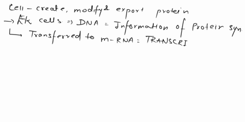 explain-how-a-cell-would-create-modify-and-export-a-protein-identify-and-describe-the-organelles-involved-in-the-process-in-the-correct-sequence-93404