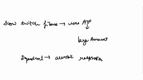 with-regards-to-the-difference-between-slow-twitch-and-fast-twitch-d-which-muscle-fibres-uses-atp-in-large-amount-has-large-amount-of-atpasewhy-is-this-important-for-the-function-of-this-thi-91925