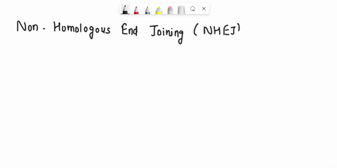 three-cellular-mechanisms-are-used-to-repair-double-stranded-breaks-in-dna-non-homologous-end-joining-homology-dependent-repair-homologous-recombination-describe-how-each-of-these-works-and-46266