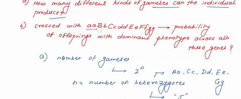 5-8-pts-let-say-an-individual-has-a-genotype-of-aabbccddeeffgg-sa-how-many-different-kinds-of-gametes-can-the-individual-produce-sb-if-this-individual-is-crossed-with-another-individual-with-40676